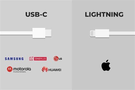 USB-C vs. Lightning: Which is the Future? – PITAKA