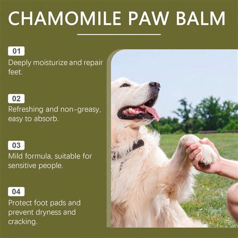 Cat & Dog Paw Care Balm - Gentle Formula, Deep Moisturizing, Prevents