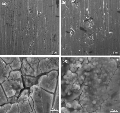 Detailed Microstructure Showing The Morphology Of Bulk Nb Ta Ti Alloys