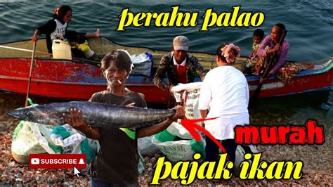 Pajak Ikan Segar Dari Perahu Bajau Laut Palao Semporna Sabahtourism