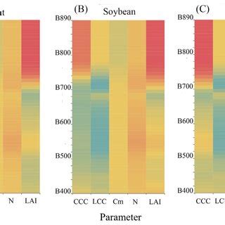 The Sensitivity Analysis For Canopy Reflectance At Various Wavelengths