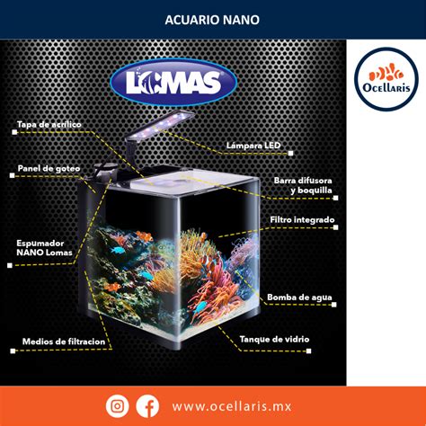 Acuario Nano Reef 18 Lts Ocellaris