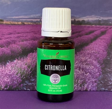 Young Living Essential Oil Citronella 2 Ml 1 Ml Sample Sizes Etsy