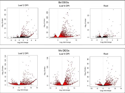 Volcano Plots Of Deseq2 Results Based On Mrnaseq Analysis Of M