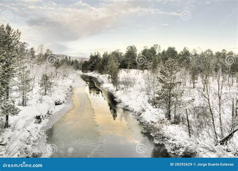 Lago Congelado Em Inari Finlandia Imagem De Stock Imagem De Gelo