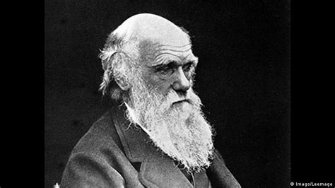 1809 Nascia Charles Darwin Autor Da Teoria Da Evolução Fatos Que