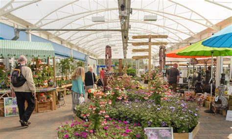 Garden Centres In Swansea Garden Services Quoakle