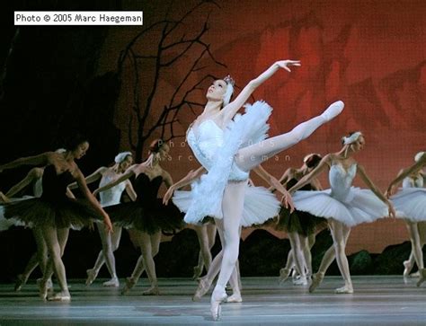 Mariinsky Ballet - Mariinsky Ballet and Opera Theatre Tickets, Saint ...