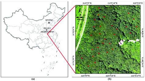 A Location Of The Study Site In The Jigongshan Natural Reserve