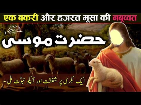 Hazrat Musa As Ko Nabuwat Kaise Mili Hazrat Musa Or Bakri Ka Waqia