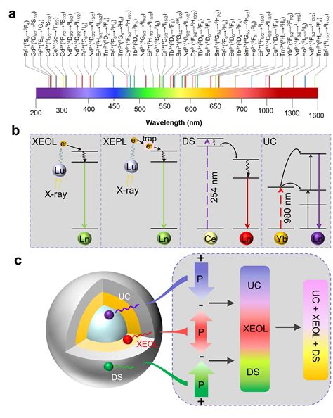 Lanthanide Doping Could Help With New Imaging Techniques