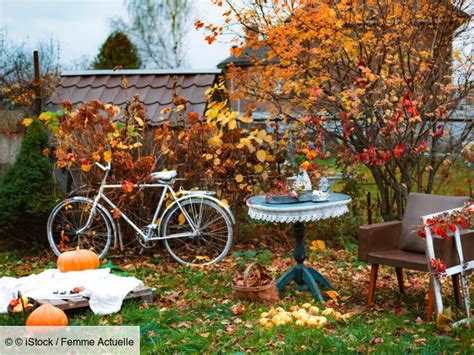 Pourquoi Lautomne Est La Meilleure Saison Pour Les Plantations Femme