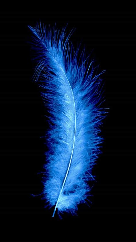 Blue Feather Wallpapers - Top Free Blue Feather Backgrounds ...