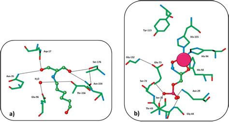 2 A Active Site Of The Enzyme Substrate Complex Of Transaldolase B