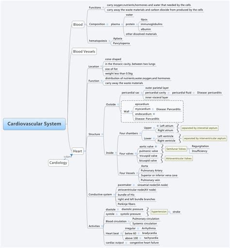 Concept Map Pulmonary And Systemic Circulations Map