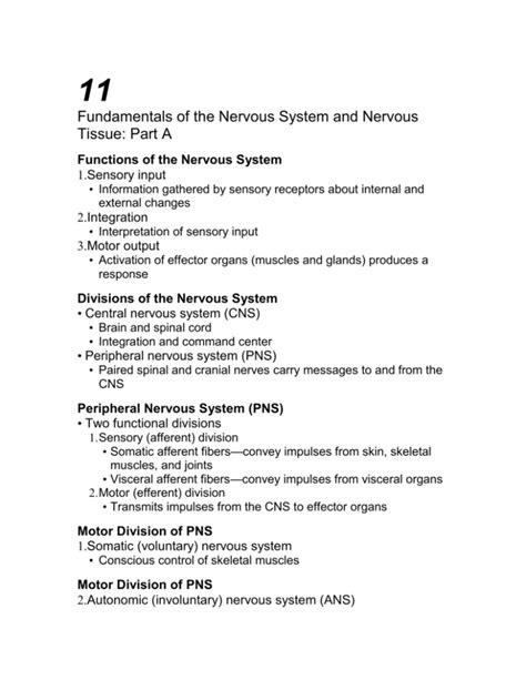 Fundamentals Of The Nervous System And Nervous Tissue Part A