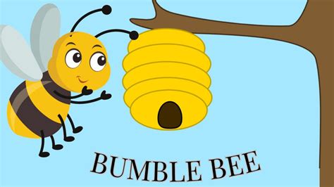 Bringing Home Baby Bumble Bee English Nursery Rhyme 🐝 Youtube