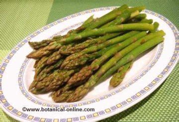 Characteristics and properties of asparagine – Botanical online