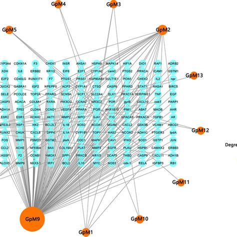 The Construction Of Compound Target Network Different Active Compounds