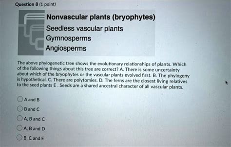 Question 8 1 Point Nonvascular Plants Bryophytes Seedless Vascular