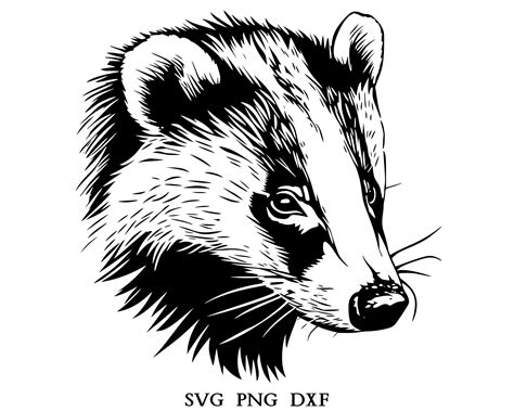 Badger Head Badger Svg Badger Clipart Badger Png Badger Vector