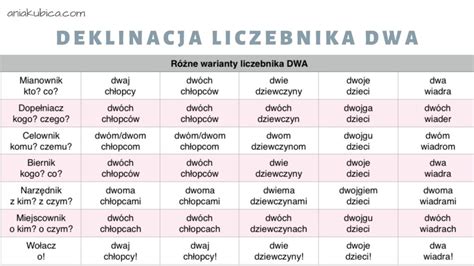 Liczebnik Od Podstaw Język Polski