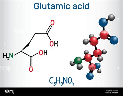 Aliphatic Amino Acids