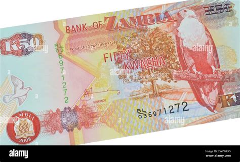 Obverse Of 50 Kwacha Banknote Printed By Zambia That Shows Fish Eagle