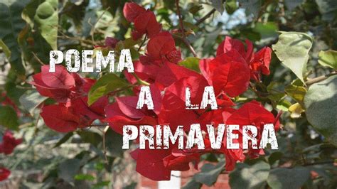 Poes A La Primavera De Antonio Machado Youtube Novelty Christmas