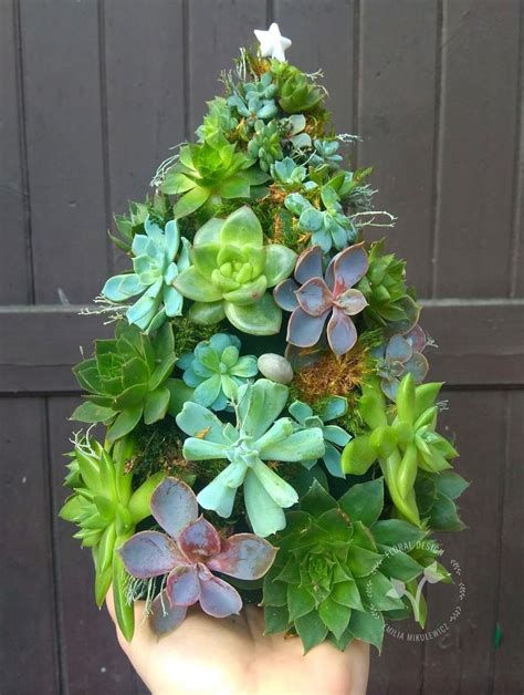 50 Stunning Succulent Christmas Trees