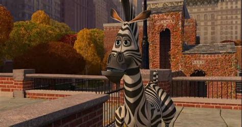 Image Zebra 1 Madagascar Wiki Fandom Powered By Wikia