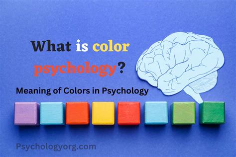 What Is Color Psychology Meaning Of Colors