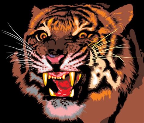 Roaring realistic tiger in front view | download Free Animal Vectors