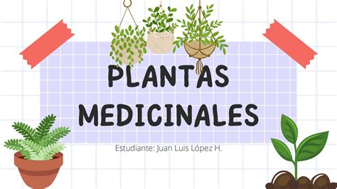 Calaméo Plantas Medicinales 3