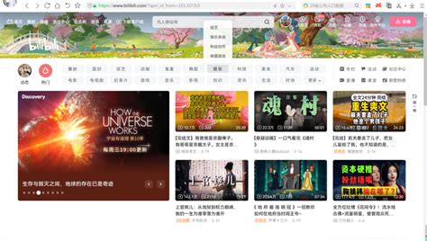 Bilibili, an Option to Target Young Chinese People | Deep Digital China