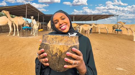 Trying Camel Milk For The First Time In Somalia Youtube