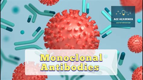 A Level Biology Monoclonal Antibodies Youtube