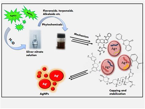 Medicinal Plants Mediated The Green Synthesis Of Silver Nanoparticles