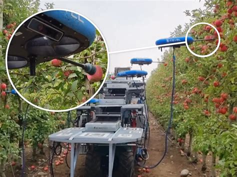 Robots in Agriculture: Feeding the Future