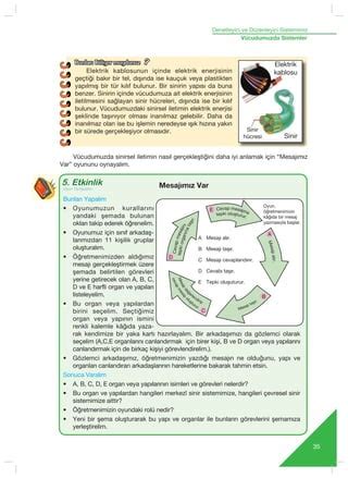 1g3 Sinir Sistemi PDF