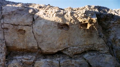 The Rock Wall: New Discoveries – Planet Rockwall | Rockwall, Texas Magazine