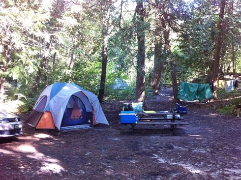 Camping Site Picture Of Sandbanks Provincial Park Picton Tripadvisor