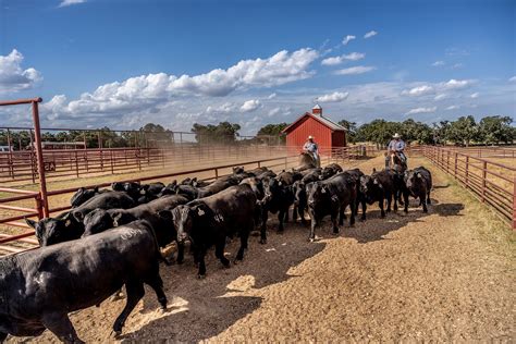 44 Farms Photo Gallery | 44 Farms