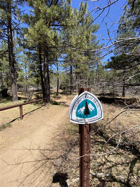 Pct Trail Journal Day 3 Boulder Oaks Campground To Mt Laguna Miles 26