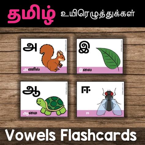 Tamil Vowels Flashcards Uyir Eluthukal Flashcards With Pictures