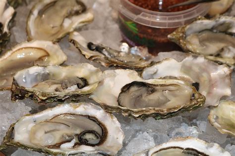 Oyster Shellfish Crustacean Free Photo On Pixabay Pixabay