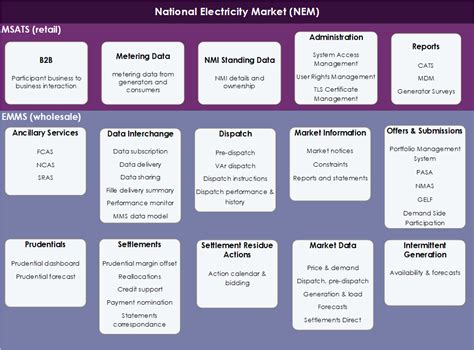 Nem It Systems Overview