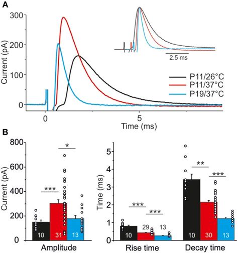 Temperature Dependency And Age Dependency Of IPSC Kinetics A Average