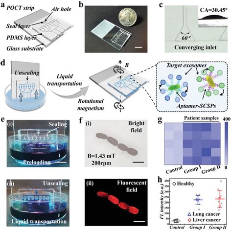 Construction Of A Poct Strip Integrated With Scsps For Auxiliary Tumor