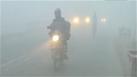 Weather Updates Cold Wave Dense Fog Engulf North India Rain With Thunderstorms Forecast In Tamil